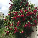 Palacete Da Vermelha Bed & Breakfast *